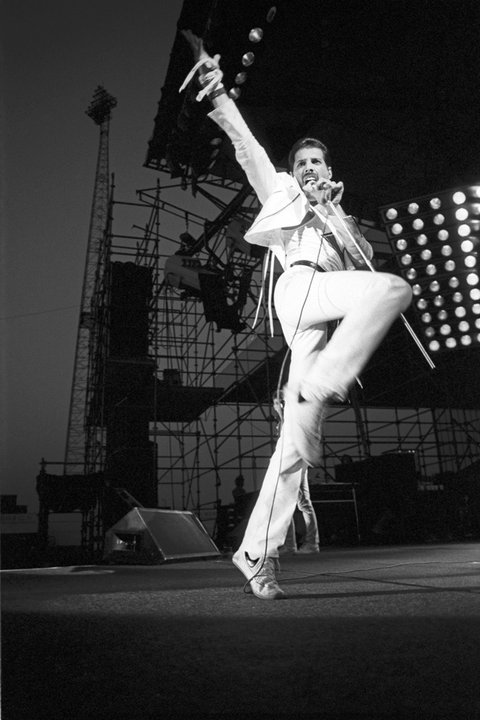What looks best on Freddie? - Freddie Mercury - fanpop