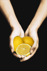  Lemons ... get it?