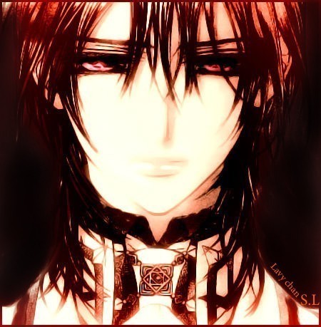  2. Kaname Kuran, The first time I seen him I nearly passed out from how hot he was...!