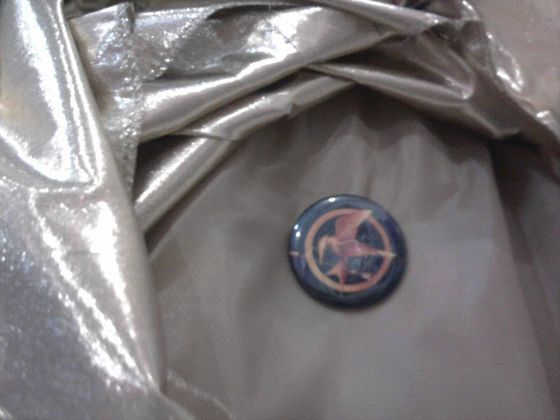  Yes, I used a mockingjay pin under my dress... I was a week after THG came out, and yeah we watched the movie together 你 don't wanna know how was it... I REGRET NOTHING