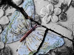  The Broken butterfly, kipepeo
