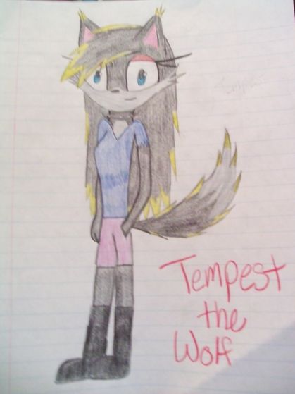 Tempest the Wolf (now)