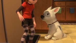  Bolt looked very sad, and he wished Penny took him along. "We can't just let her go alone! We need to go after her!"