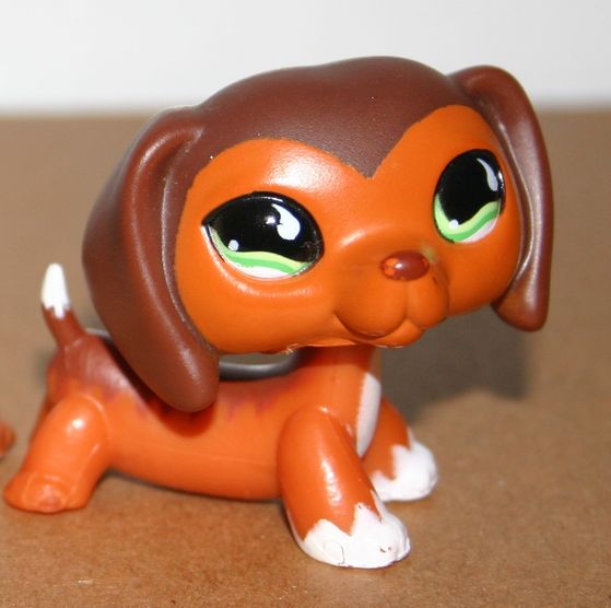 This is pet #675 also known as Savannah Reed from LPS Popular