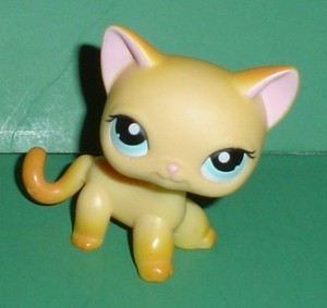 This is pet #339 also known as Brooke Hayes From LPS Popular