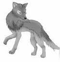  ok this is my charater from my Wolf's Rain fanfiction story Name: Dawn Gender: female Rank: fem