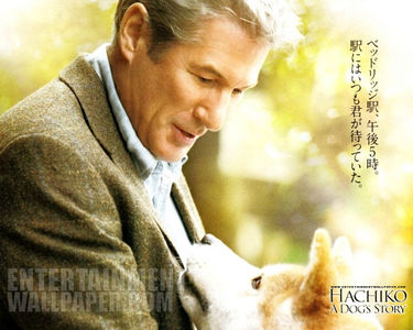  일 1 - The best movie 당신 saw during last 년 Hachi: A Dog's Tale
