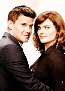[b]Day 20: The can’t-stand-the-sexual-tension pairing. [/b]

Booth and Bones 