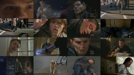Day 9 
Your favorite Dean death scene -"Mystery Spot" (All dean deaths Scene)