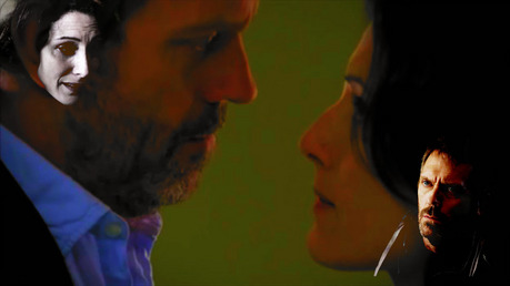  @fran "And what could be thêm wrong about the diagnosis “Huddy”? Is it House’s fault if the rel