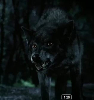 Mason as werewolf :)