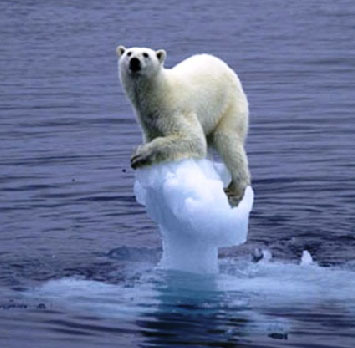  <B>Round 12: Polar भालू Phase One will end on January 21st, 2012.</b>