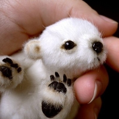  is this one ok? baby polar भालू :)