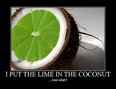 I put the lime in the coconut... now what? ;>

[the first picture is my entrance for the round, this 