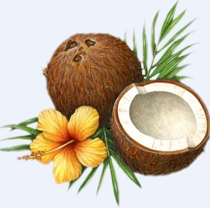 <b>Round 5: COCONUT</b>

Phase One will end on December 3, 2011.
