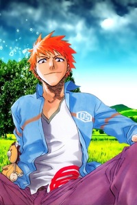 Well...I guess I'll nominate now, since other people seem to be anyhow.

I nominate...Bleach!