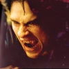 3. TV Show 'Vampire Diaries'