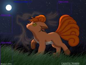  brock jr:here we go and i'm going to look at the moon befor go to sleep *turns into volpix and walks