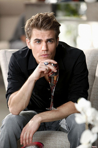  Here's mine: Stefan Salvatore, Forever!! he's handsome and incredible!! :D ♥♥♥♥