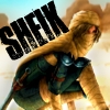 #10 - In Disguise - Princess Zelda as Sheik (<a href="http://super-fergus.deviantart.com/art/Sheik-12