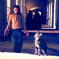  4 ~ Animal (Arya + Cat = Chase!)