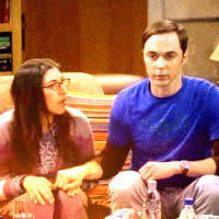  #5. Sheldon & Amy