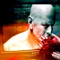  Round 13 ~ Bruce Willis 1. Cinta