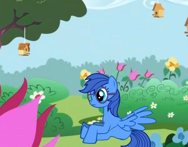  (( Can I do it too? Name: Cerulean Age: 11 Race: Pegasus Appearance: Dark blue mane, with a light