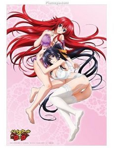 Neko Amy and Rias:Rub their Bellies then kissed Lover