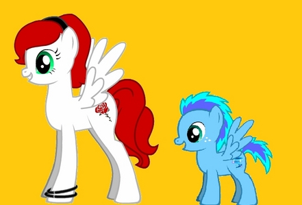 *walks over to a little pegusus foal who looks like he is lost*
crimson-helo are you lost?
tornado 