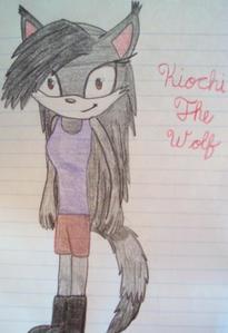 sign up fourm
:name:Kiochi
Age:13
Race: (exsample: hedghog, bat, lion, and so on...)wolf
Gender:f