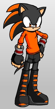 Name- Tyler
Age- 17
Species- Hedgehog
Powers- Chaos Control, perfect aim with a weapon, Chronos Co