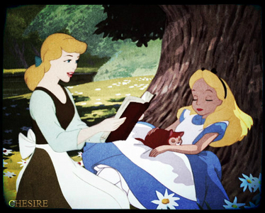 Oh okay, thanks for the info!:-) 
Cinderella is my favorite DP and Alice is my favorite character of