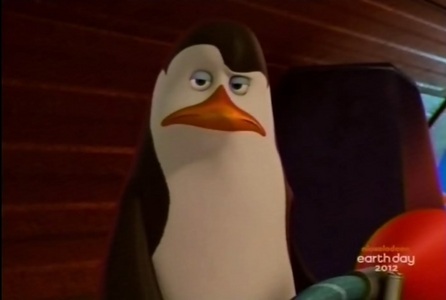  (The following can not be desribed with words. I think that Kowalski`s expression is pretty much self