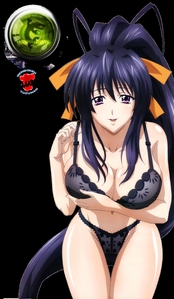  Name:Neko Akeno Personality:Majorly Shy, Loving, Kind ,Caring, But Can Have Major Additude Age:16 His