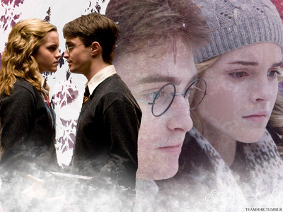  dag 12: Harry and Hermione♥