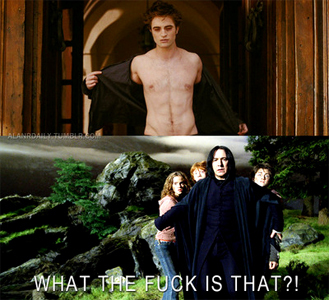  [b]Day 22: Harry Potter of Twilight?[/b] Harry Potter. Duh.
