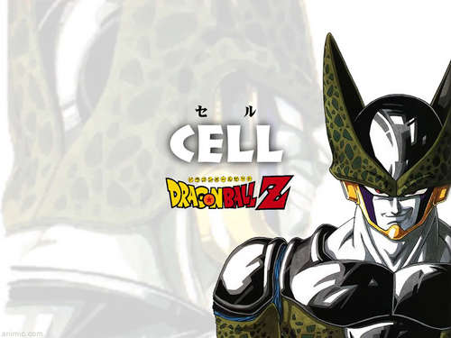  Cell