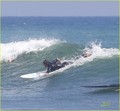 Gerard Butler: Morning Coffee & Afternoon Surfing! - gerard-butler photo
