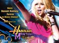 Hannah Montana (Season 4) - hannah-montana photo