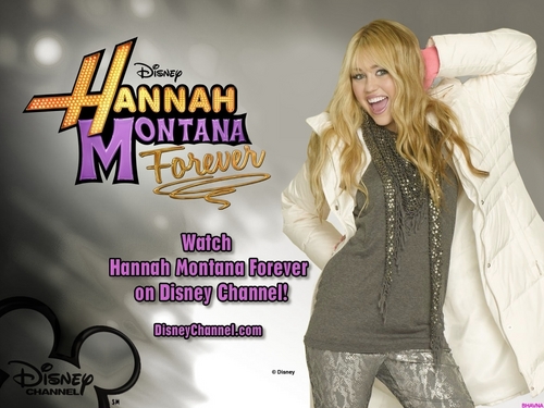  Hannah Montana (Season 4)