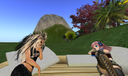 Second Life Friends