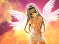 angel anime - anime photo