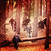 icons ♥  - harry-potter icon