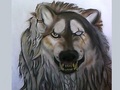 my wolf! :) - alpha-and-omega fan art