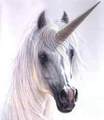 Beautiful Unicorns - unicorns photo