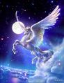 Beautiful Pegasus - unicorns photo