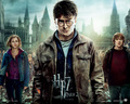 harry-potter-and-the-deathly-hallows-part-2 - Deathly Hallows Part II Official Wallpapers wallpaper