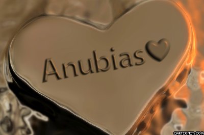 I Love Anubias<3