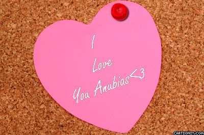  I Love Anubias<3